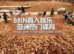 种植基地二