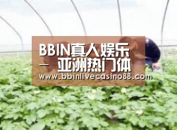 种植基地三