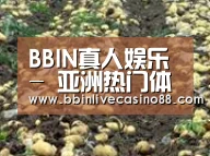 种植基地八(图1)