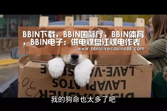 BBIN下载,BBIN国际厅,BBIN体育,BBIN电子:供电煤盘江煤电作表率(图4) BBIN下载,BBIN国际厅,BBIN体育,BBIN电子