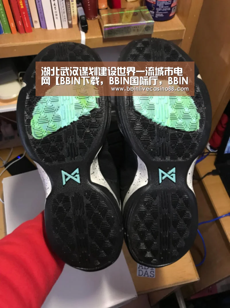 湖北武汉谋划建设世界一流城市电网【BBIN下载,BBIN国际厅,BBIN体育,BBIN电子】(图2) BBIN下载,BBIN国际厅,BBIN体育,BBIN电子