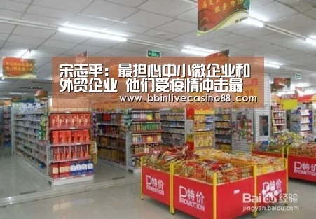 宋志平:最担心中小微企业和外贸企业 他们受疫情冲击最大:BBIN下载,BBIN国际厅,BBIN体育,BBIN电子(图3) BBIN下载,BBIN国际厅,BBIN体育,BBIN电子